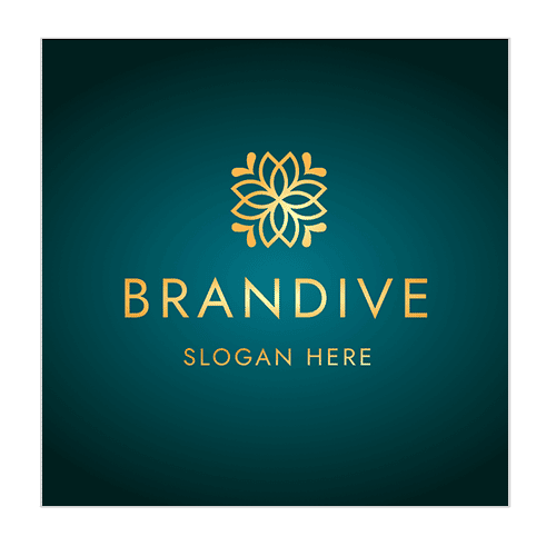 开云平台kaiyun体育